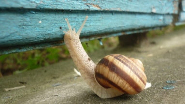 Geduldig Jin Shin Jyutsu