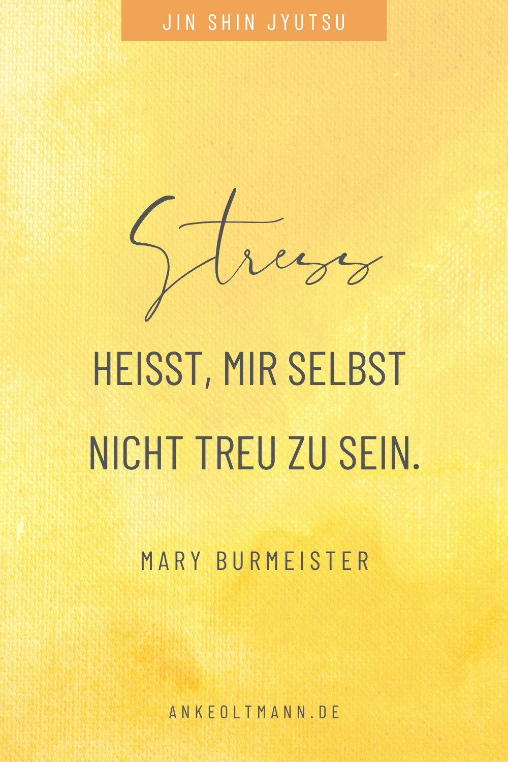 Zitate von Mary Burmeister - Stress