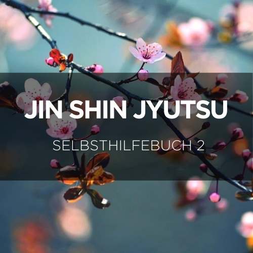 Selbsthilfebuch 2 Jin Shin Jyutsu