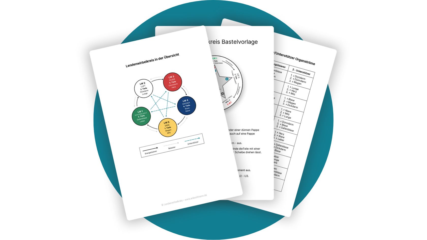 PDFs Lendenwirbelkreis Beispiele