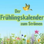 Frühling