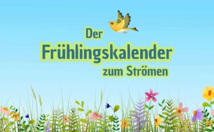 Frühling
